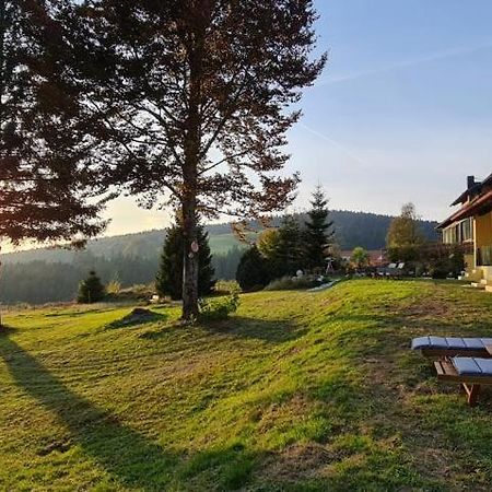Dreisessel Motel Haidmühle 外观 照片