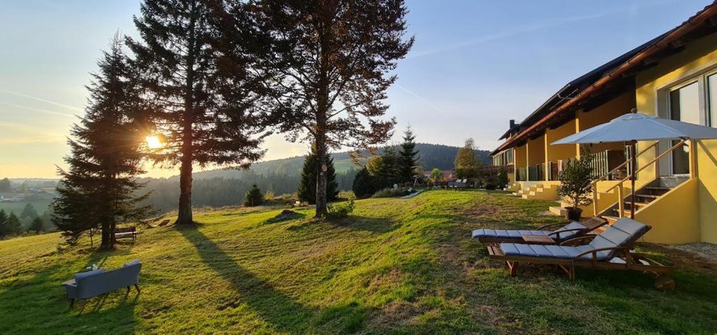Dreisessel Motel Haidmühle 外观 照片